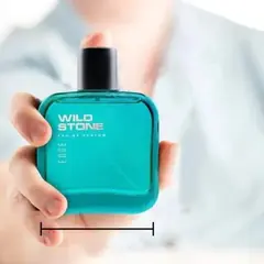 Wild Stone - Edge Premium Perfume for Men, Long Lasting Eau De Parfum|Luxury Fragrances - 50ml - Rokomari